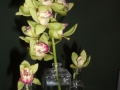 arranjo-de-flores-2-cimbidium